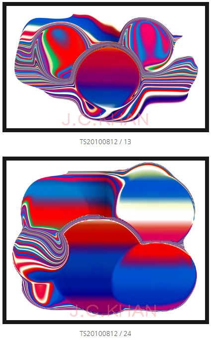  TS20100812 / 13,24,25,39