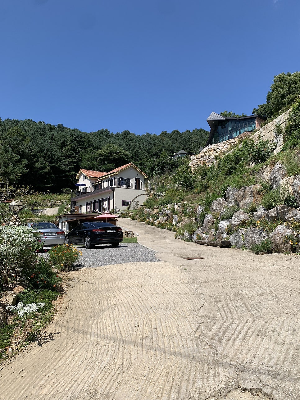 싸리골 사진 6