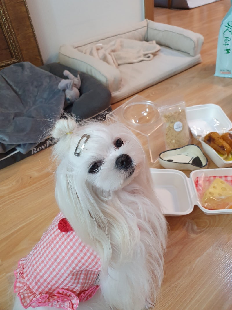 사진 4