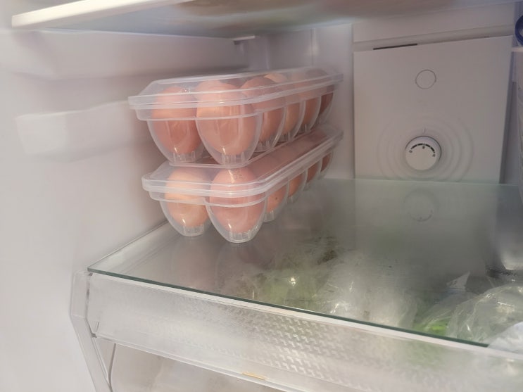 계란보관용기로 냉장고정리하기!