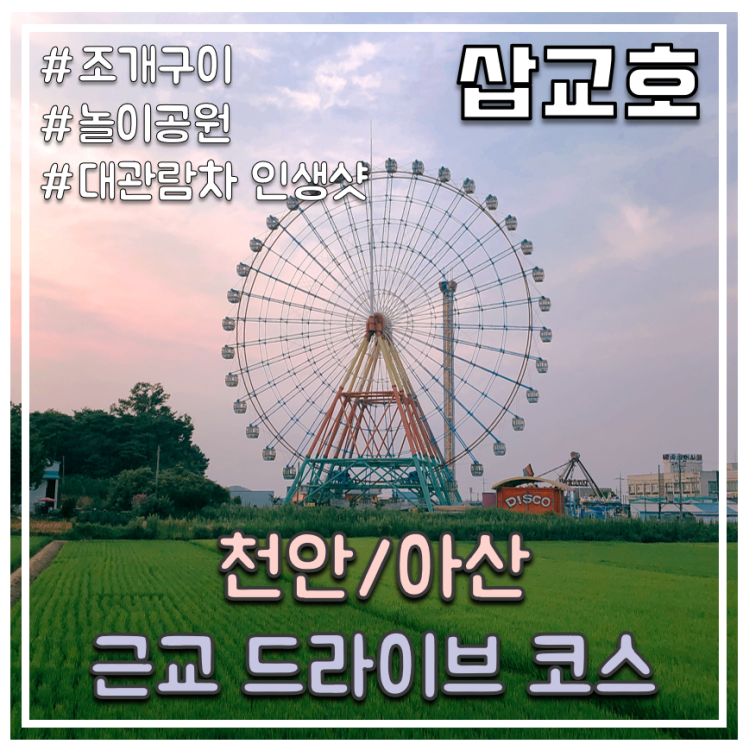  { 천안/아산 근교 드라이브}  인생샷 포토스팟 주소 /삽교호로 콧바람 쐬러 가자 (feat. 여름에 조개구이를 먹으면 안 되는 이유)