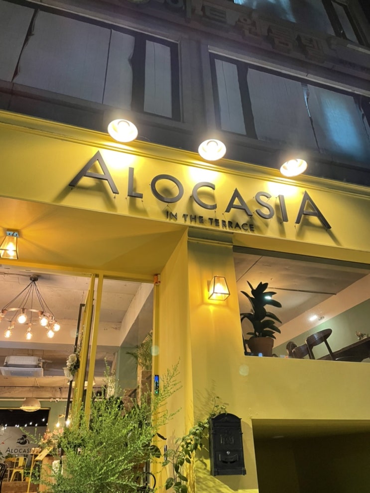  [회기 경희대 플라워 카페 추천] 알로카시아 인더테라스 ALOCASUA IN THE TERRACE