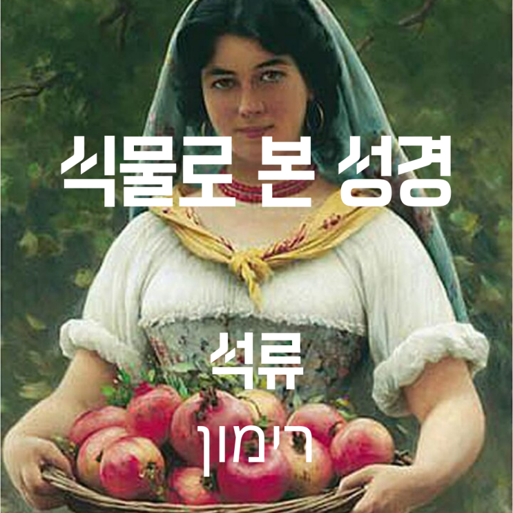  식물로 본 성경-석류 (림몬/리몬 = רימון )-상징, 네 뺨은 석류 같구나
