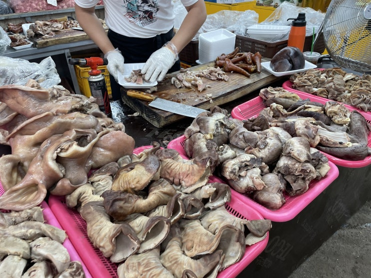  제주오일장 너무 싫다 제주도민의 극혐 후기 (제주시민속오일장 날짜,시간, 땅꼬분식)
