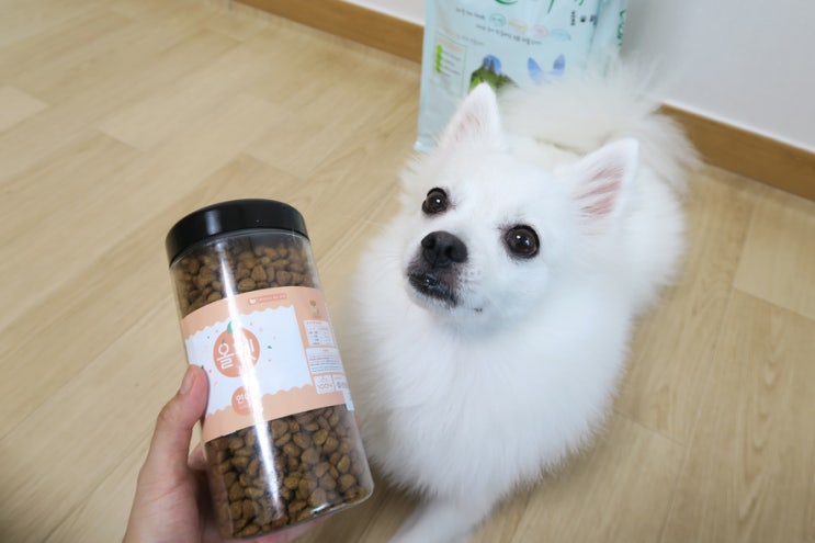  샤인펫 올펫연어 2kg 가성비 좋은 강아지 유기농 사료
