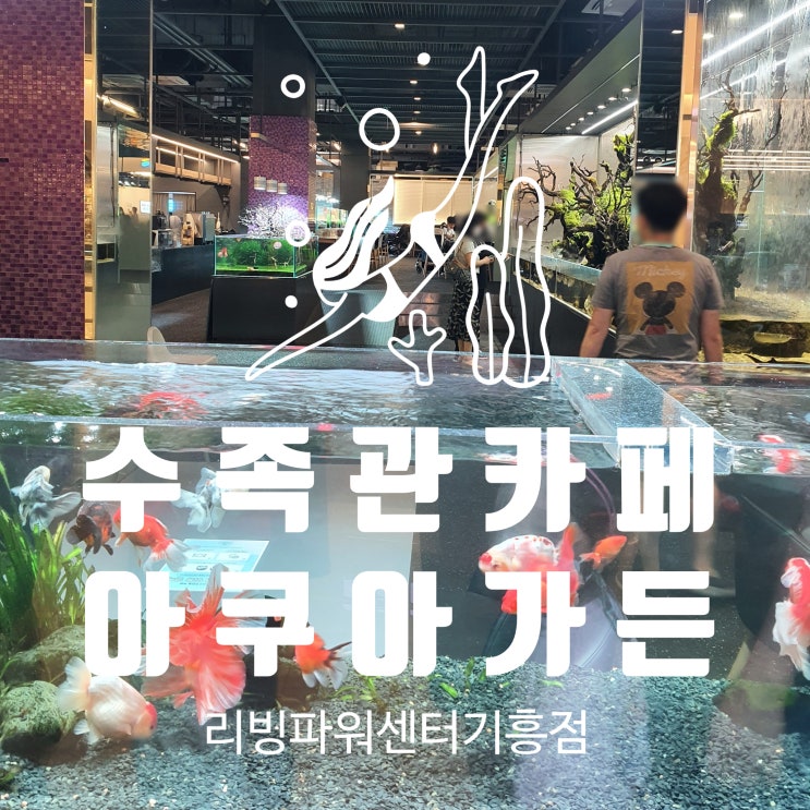  용인 기흥 수족관카페 아쿠아가든 리빙파워센터기흥점 (ft. 아이와 가볼만한 곳)