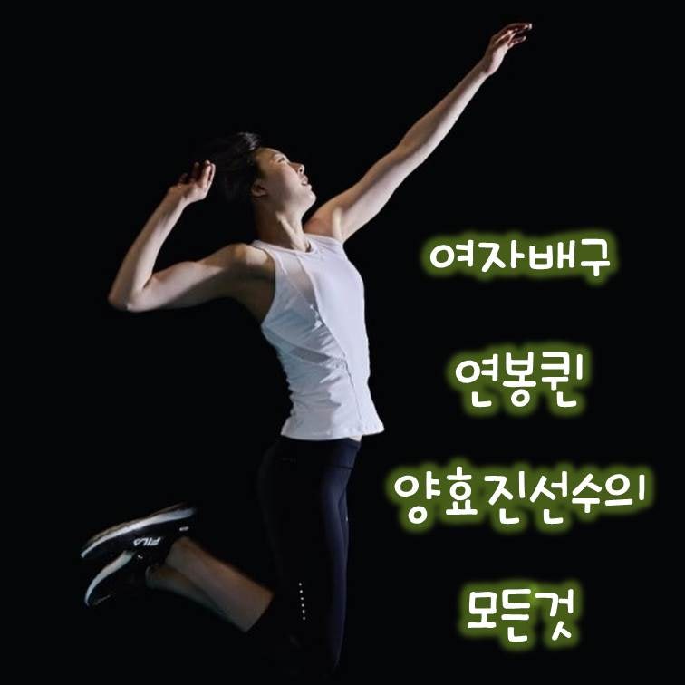 여자배구에서 최고 연봉받는 양효진 선수의 모든 것 / 양효진 / 양효진 키 / 양효진 결혼 / 양....