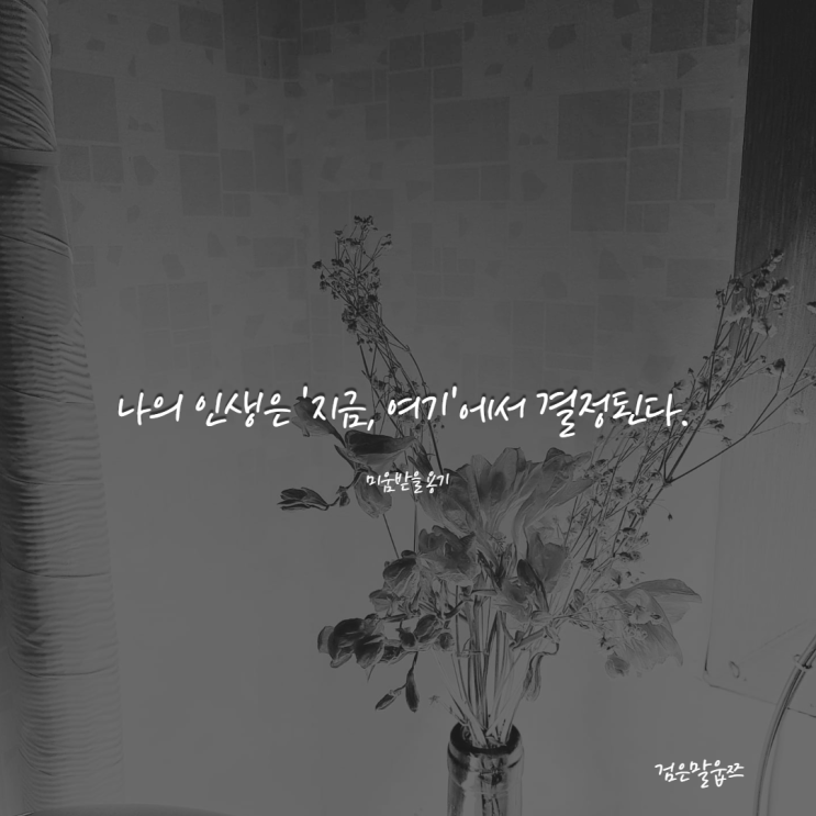  책 필사 문구_나의 인생은 지금, 여기에서 결정된다