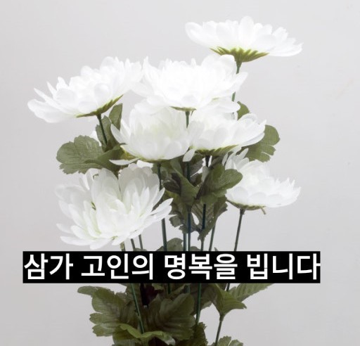 진정한 나눔의 실천