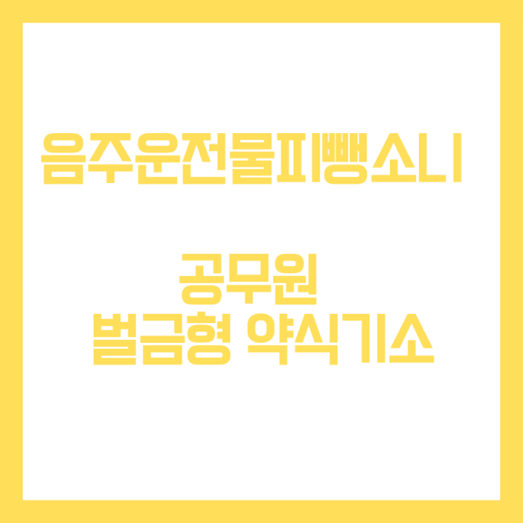  공무원 음주운전 물피뺑소니 벌금형 약식기소