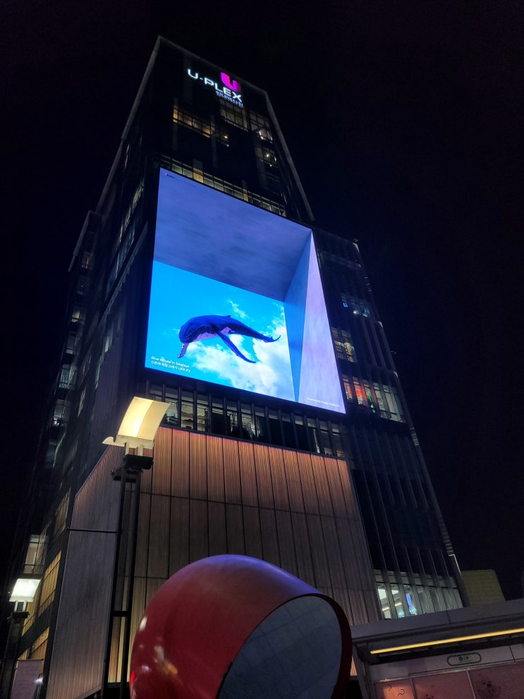  신촌에 파랑고래가 나타나다 신촌역 전광판