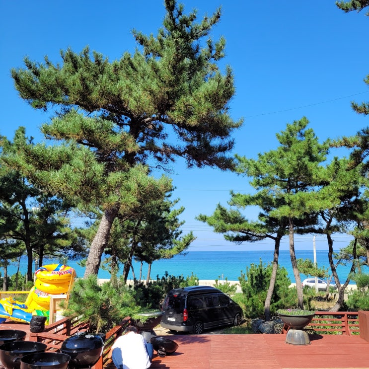  울진 풀빌라펜션 207마일 독채 복층 펜션