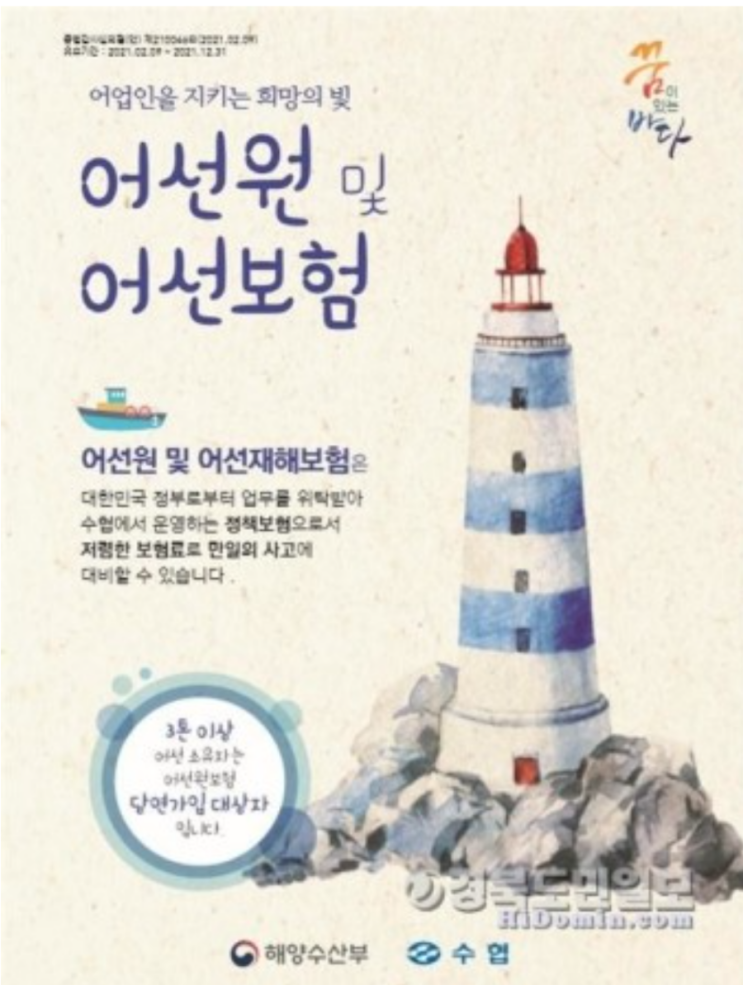 3t미만 선박 어선원보험 가입자 전체 8% 불과 3t미만 선박 어선원보험 가입자 전체 8% 불과