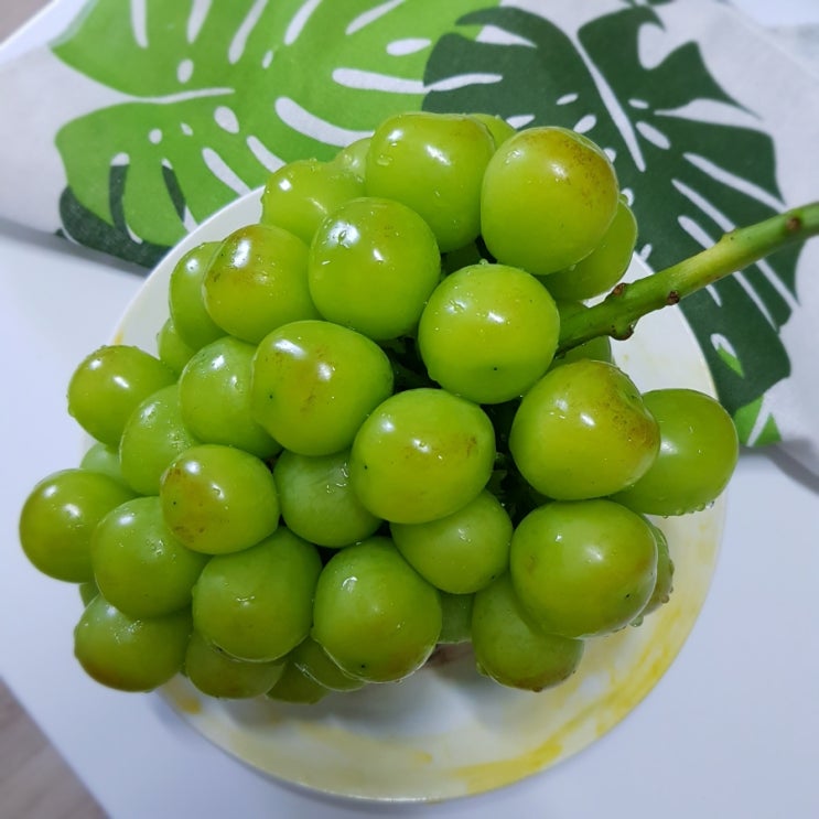  샤인머스켓 선물 받았어요.