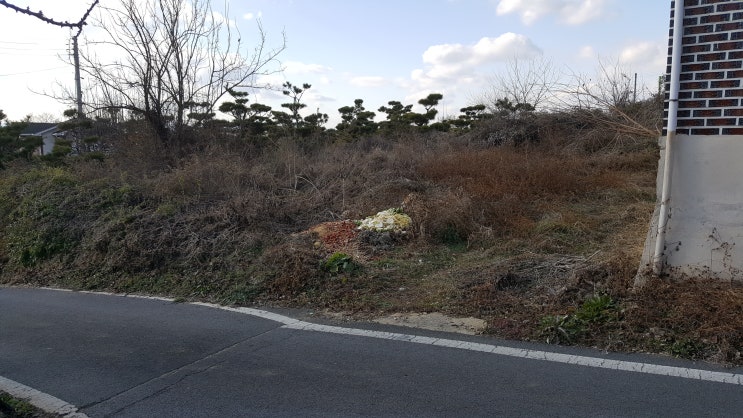  영천시 고경면 창하리 나대지  (자연취락지구)