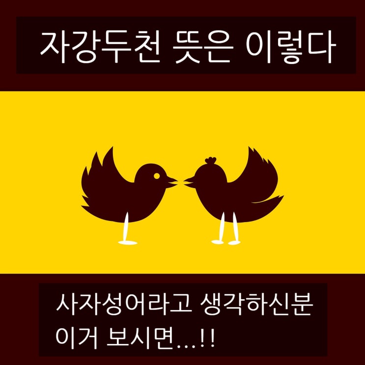  자강두천 뜻, 어떤 상황에 맞는 단어일까??