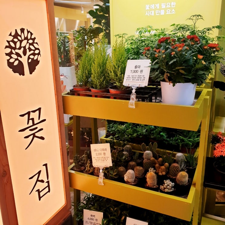 싱그러운 공덕역 꽃집 추천! 지수화풍 Flower shop