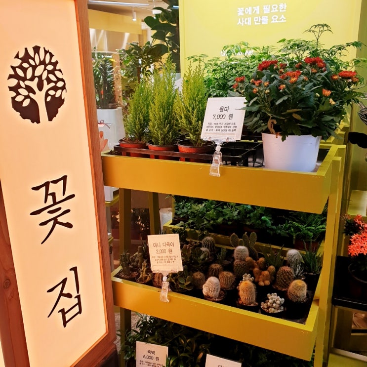  싱그러운 공덕역 꽃집 추천! 지수화풍 Flower shop
