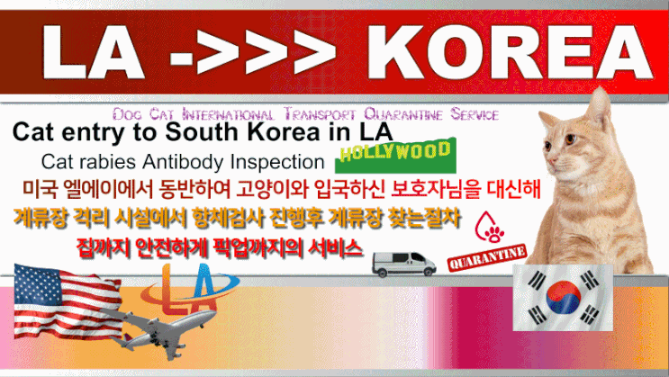  미국LA엘에이에서 반려견 강아지 고양이 한국 입국 검역 계류장 반려동물 해외 운송 대형견 우드케이지제작