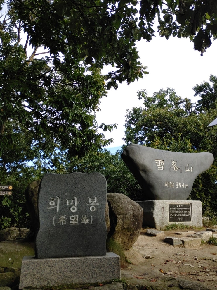 햇살과 어우러진 오늘 아침 설봉산 햇살과 어우러진 오늘 아침 설봉산