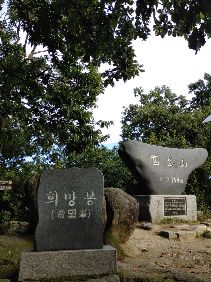 햇살과 어우러진 오늘 아침 설봉산