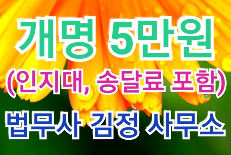  최근 양평, 태안, 영주 법원 개명 허가사례