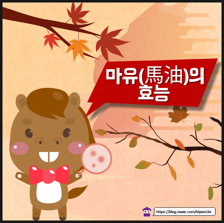  마유크림 효능 제대로 알고 사용하세요!