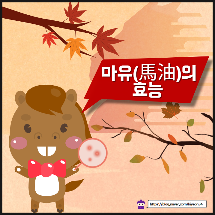 마유크림 효능 제대로 알고 사용하세요!