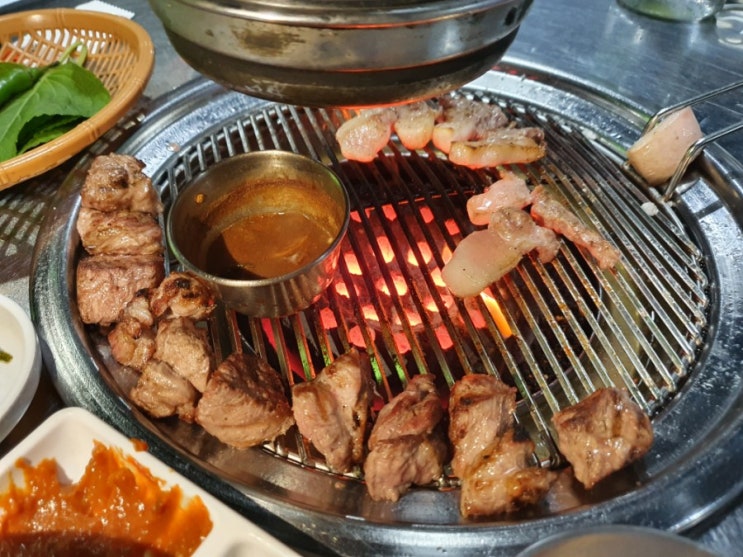  [ 능동 동탄 ] 채돈이 - 제주 근고기