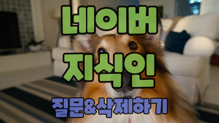  네이버 지식인 질문하기 삭제까지 한 번에 알아보자