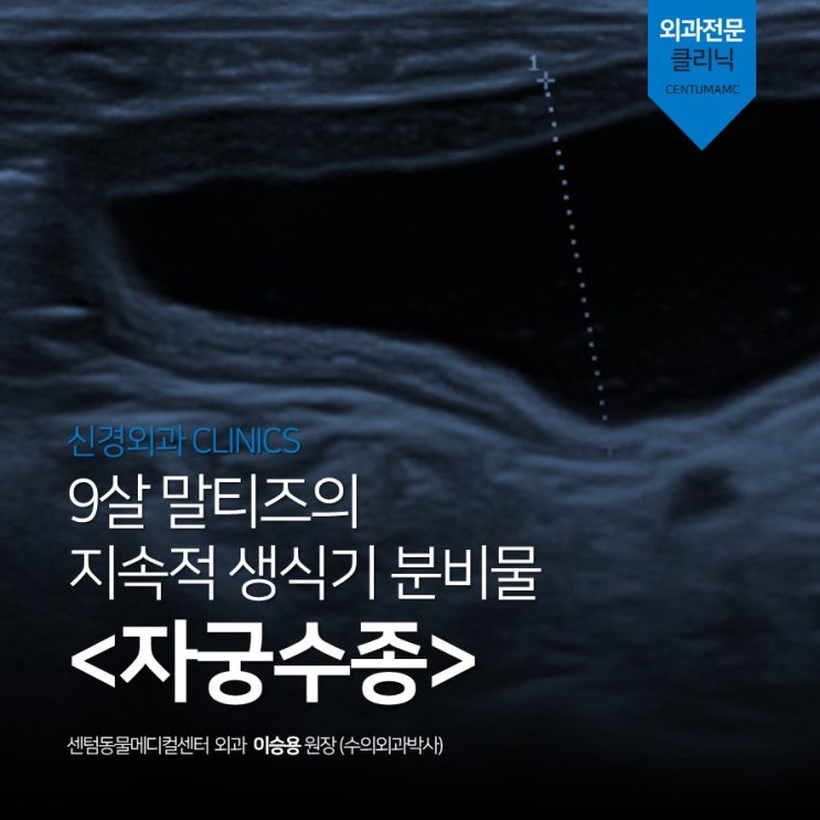  9살 강아지 자궁수종 / 난소자궁절제술 케이스 (부산 수영역 센텀동물메디컬센터 외과)