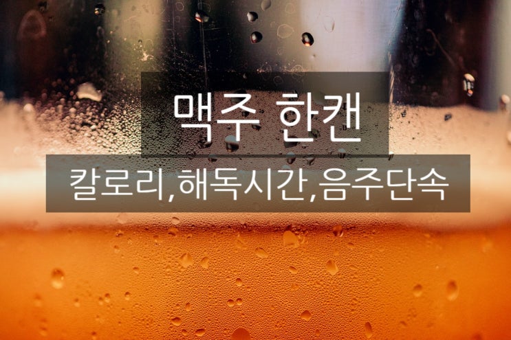  맥주 한캔 - 칼로리 , 해독시간, 음주단속은?! - 이것만이라도 알고있자!!