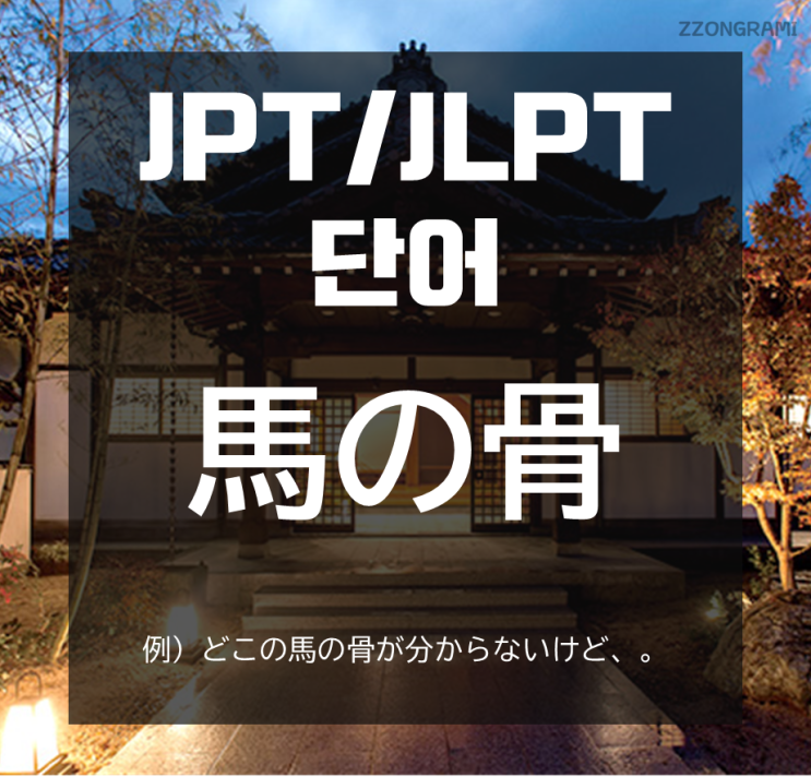  [일본어 공부] JPT/JLPT 단어 :「馬の骨」