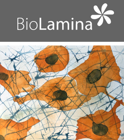  [Biolamina] 3D Culture