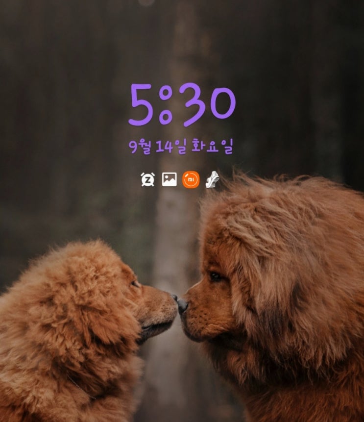 [미라클모닝 D-72]우연의 가능성을 열어놓는다 .보이지않는차이