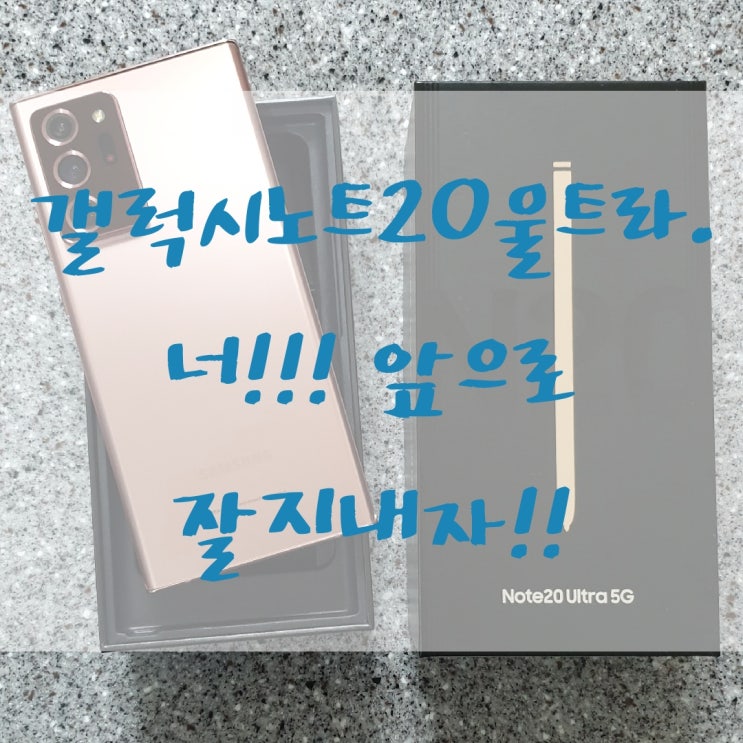  갤럭시 노트20울트라 미스틱브론즈 [잘지내자!!우리!! ]