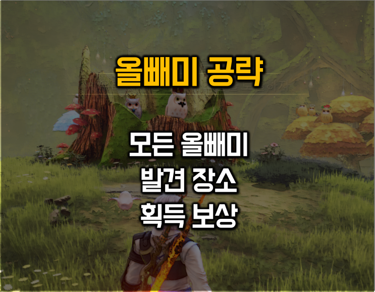  테일즈오브어라이즈 - 올빼미 위치 및 보수(총 38마리)
