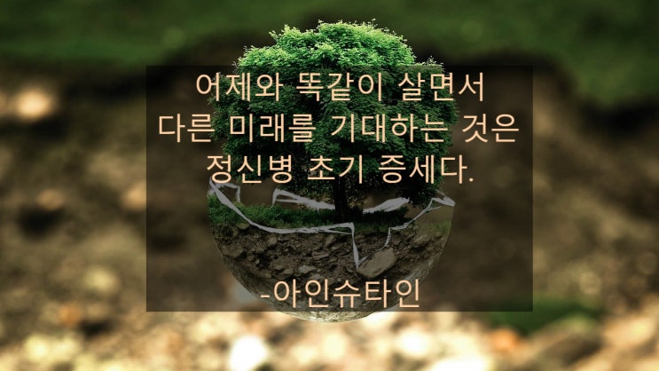  아인슈타인의 명언