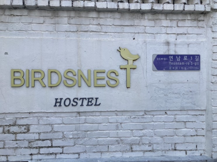  [서울 숙소]홍대입구역 근처 버즈네스트 호스텔