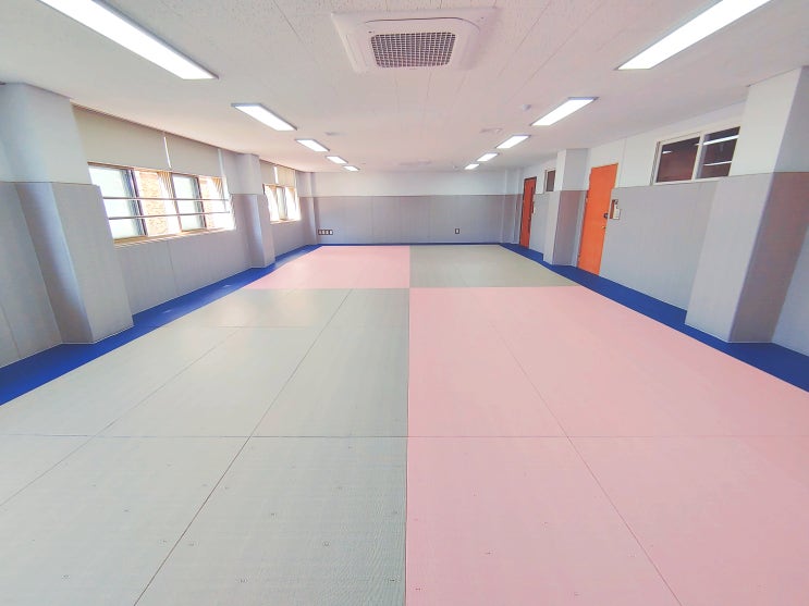  인천 도림초등학교 놀이 소강당, 소규모실내체육시설 - 다오코리아 안전 바닥매트(다목적 스포츠 매트) & 안전 보호벽 매트(안전패딩) 설치