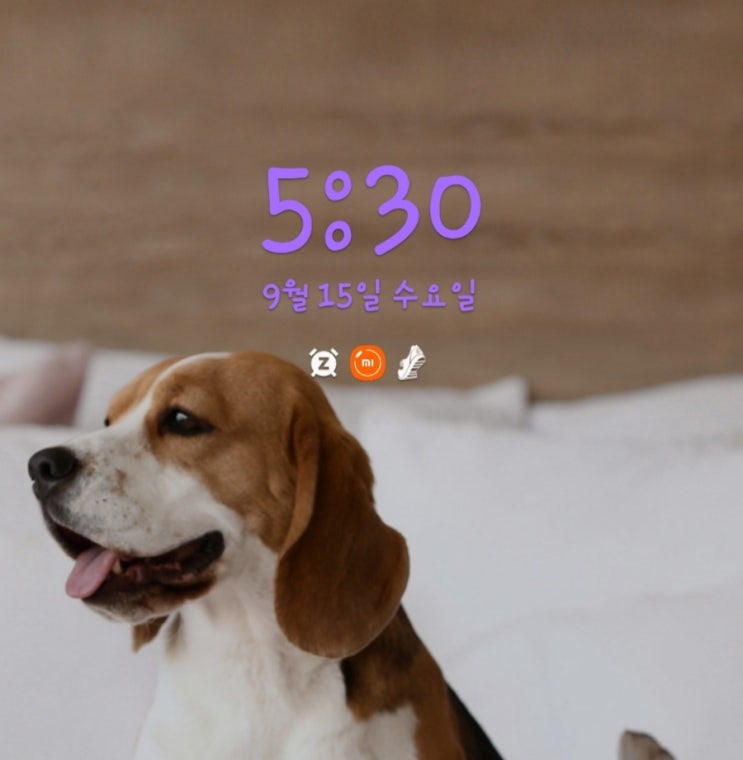  [미라클모닝  D-71]행운을 맞이하는 사람은 새로운것을 적극적으로 받아들인다
