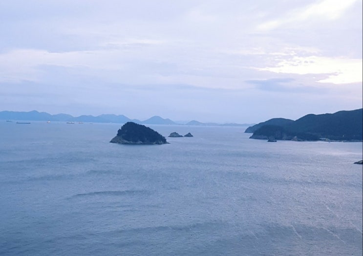  화이자백신 2차 접종 다음날