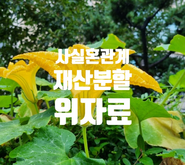  사실혼 관계 정리 시 재산분할 위자료