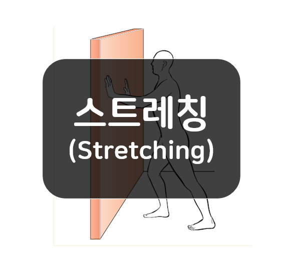  효과적으로 스트레칭(stretching)하려면 근육을 이해하자