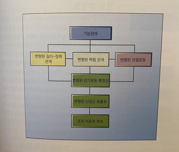  [이수역필라테스] 인체 움직임 시스템의 손상 관련 편