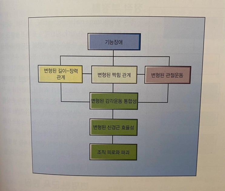 [이수역필라테스] 인체 움직임 시스템의 손상 관련 편