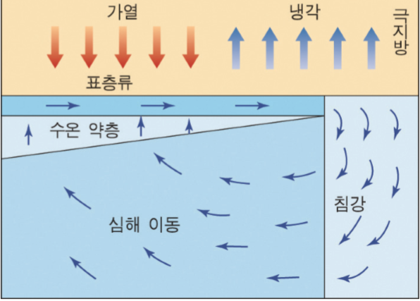  해수의 심층 순환