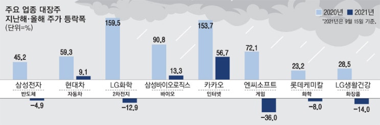  "대형주 너만은 믿었건만"…반도체 화학 이어 플랫폼 주가 급락에 동학개미 속탄다