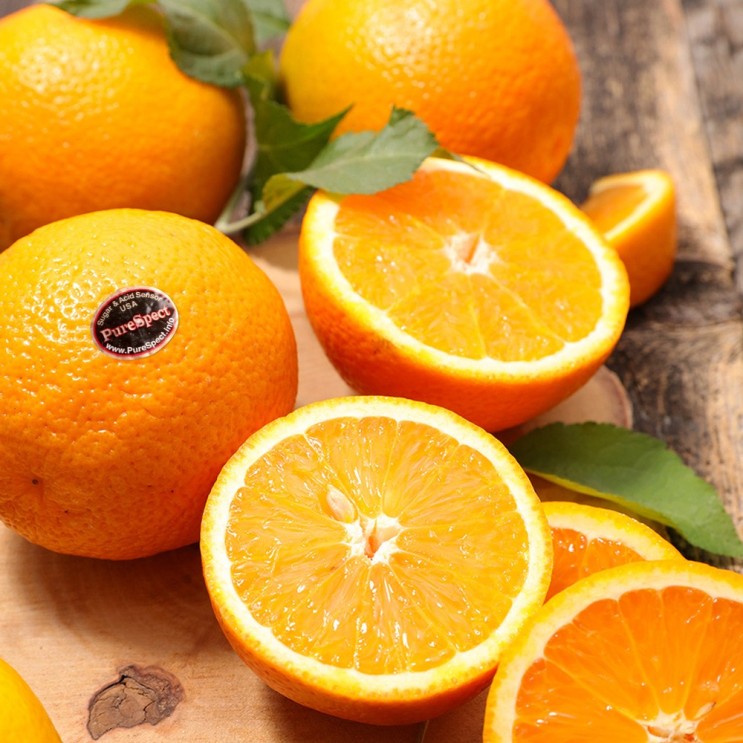 최근 인기있는 퓨어스펙 블랙라벨 오렌지 특대과 10kg 35과 내외, 단품 추천합니다