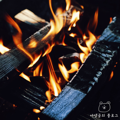  귀족캠핑장작으로 불멍 더이상 어렵게 하지말아요
